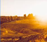 21-06-2020 5-15-00 PM.jpg 21-06-2020 5-15-00 PM.jpg